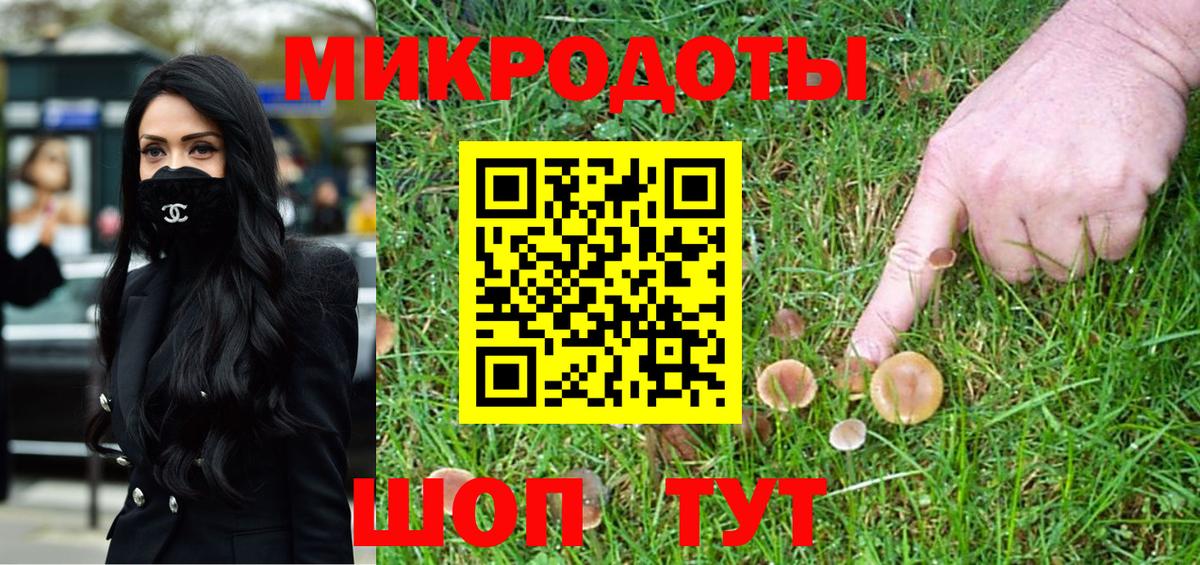 Псилоцибиновые грибы Magic Shrooms  Псилоцибиновые грибы прущие грибы  магазин    Михайловка  Вход с VPN 