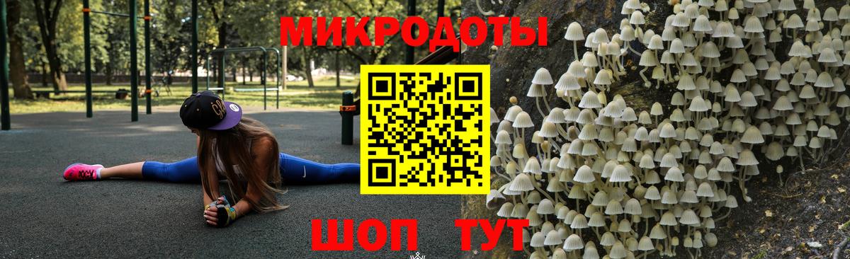 Галлюциногенные грибы мухоморы Михайловка
